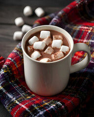 Warm Hot Chocolate with Marshmallows Close-Up