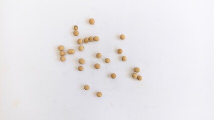 dried harvested soy beans isolated in white background