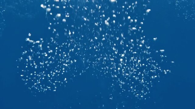 Bubbles rising in clear blue water, creating a serene underwater atmosphere.