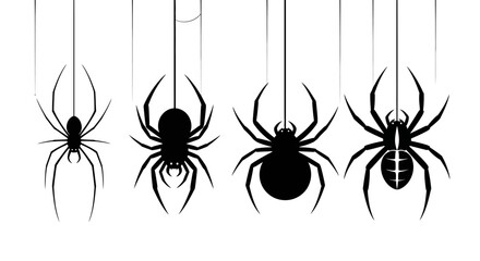 A collection of four distinct black spider silhouettes hanging from silk threads. Vector graphic set of arachnid icons isolated on a white background