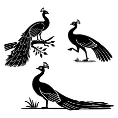 Naklejka premium Set of Majestic Peacock Silhouette Designs for Luxury Branding and Indian Culture Flat Vector Illustration