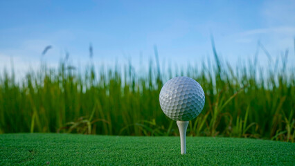 Close-up golf ball on tee with blur green bokeh background.