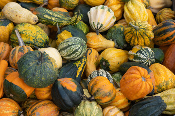 A vibrant pile of ornamental gourds and decorative winter squash. Fresh autumn harvest vegetables...
