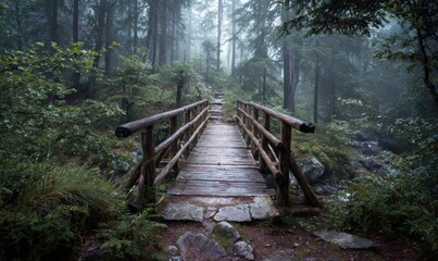 Fototapeta premium Wooden Bridge in a Misty Forest - A Serene Nature Scene.
