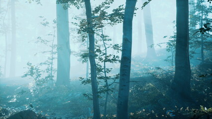 A tranquil forest emerges through gentle morning fog, with tall trees standing tall amidst a mystical haze. Sunlight filters softly through the leaves, creating enchanting shadows.