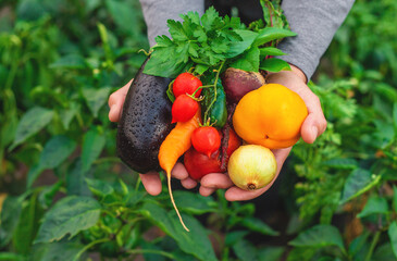A man holding vegetables in his hands. Selective focus.