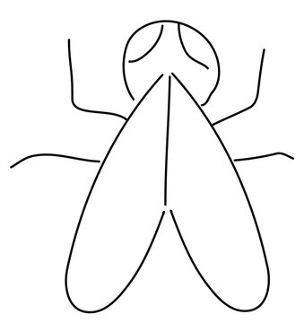 Esbozo de mosca simplista a mano alzada, garabato