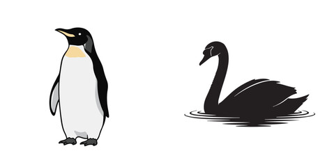 Flat Vector Illustration of Penguin and Black Swan on White Background
