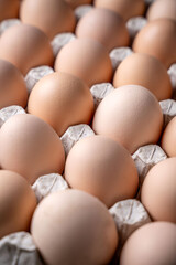 fresh brown eggs in carton box