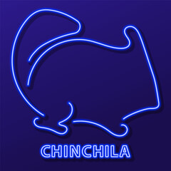 chinchila neon sign, modern glowing banner design, colorful modern design trends on black background. Vector illustration.