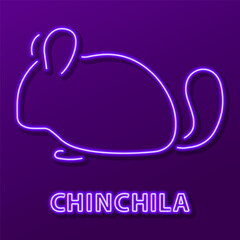 chinchila neon sign, modern glowing banner design, colorful modern design trends on black background. Vector illustration.