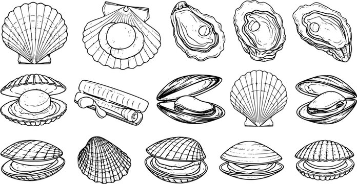 Shellfish seafood, vector hand drawn set. Oysters, mussels, scallop and other.