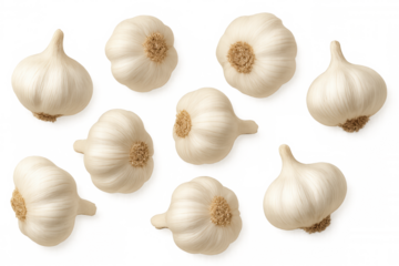 Fresh whole garlic bulbs floating, ready for cooking and adding strong flavor to healthy meals on transparent background