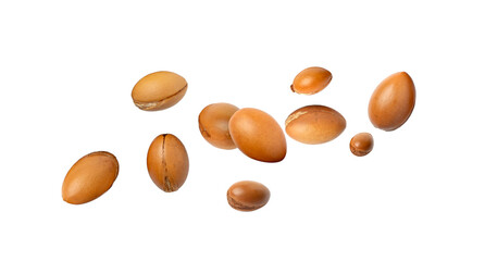 Falling argan nuts isolated, argania oil seeds