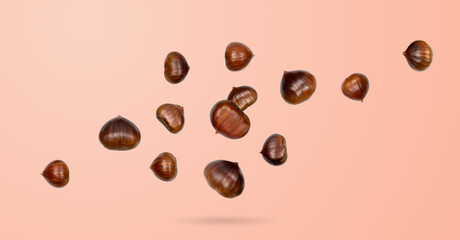 Falling edible sweet whole chestnuts, chest nuts in air on pink background