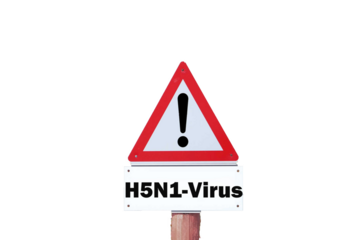 sign H5N1 concept of poultry, threat of avian influenza and illness among poultry.	