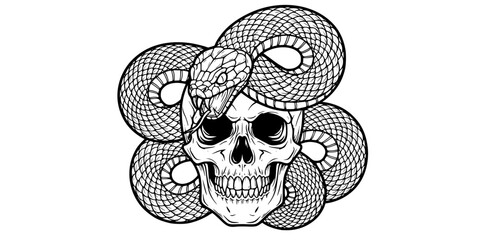 Snake & Skull Artwork with Detailed Scales & Teeth. Black & White Outline Line Art Drawing. Gothic, Death, Rebirth, & Fantasy Graphic.


