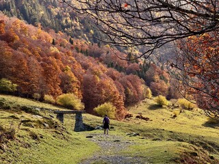 Entrando a la Artiga de Lin en el Pirineo Aran&eacute;s
