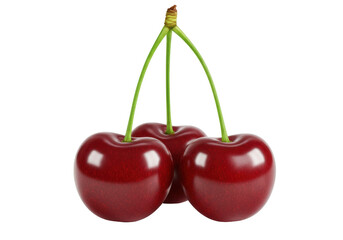 Isolated trio of sweet cherries with fresh green stems for summer baking themes