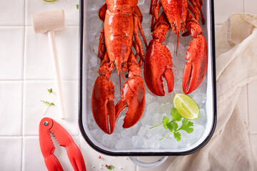 Cooked red lobster as mediterranean traditional dinner.