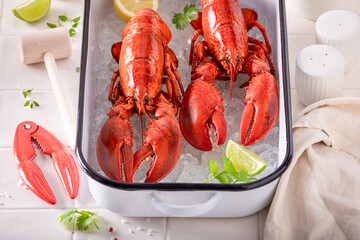 Boiled red lobster as mediterranean seafood dinner.