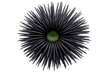 Dark floral bloom w/ spiky petals and vibrant green center on black