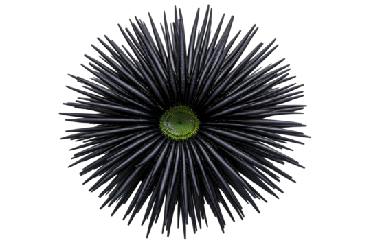 Dark floral bloom w/ spiky petals and vibrant green center on black - Powered by Adobe