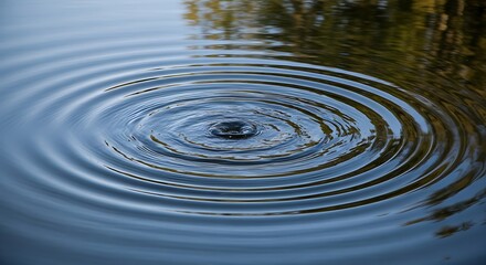 Fototapeta premium Water Droplet Creating Ripples on a Calm Surface.