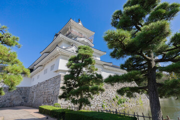 富山城と城址公園の風景　青空に映える白壁の天守閣