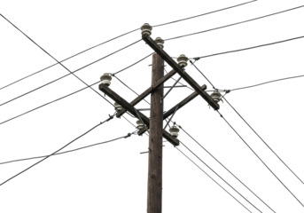 Isolated Wooden Power Pole with Ceramic Insulators and Cables for Electricity Supply