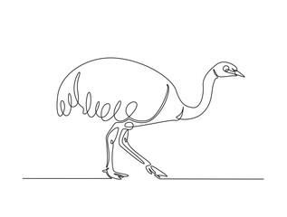 Continuous one line drawing of Ostrich bird. Ostrich bird line art vector illustration. Animal concept design.