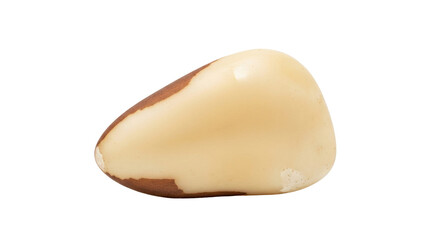 Isolated single Brazil nut, peeled and ready to eat, high in selenium and nutrition