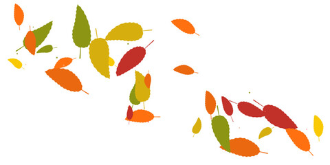 Fototapeta premium Leaves. Yellow, red, orange, brown, green colors. Scattered autumn leaves. 