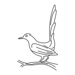 Vector design and line icon of magpie bird for elements and suitable for learning to color