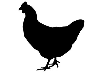 雄鶏のシルエット