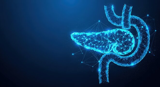 A digital medical illustration of a glowing blue human pancreas