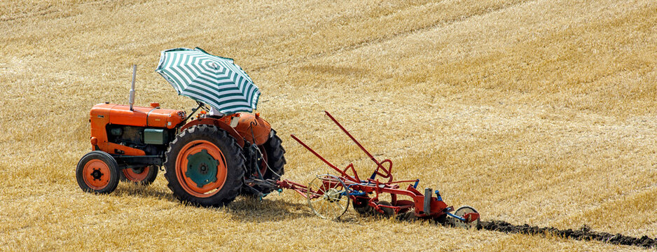 labours &agrave; l' ancienne, tracteur et charrue