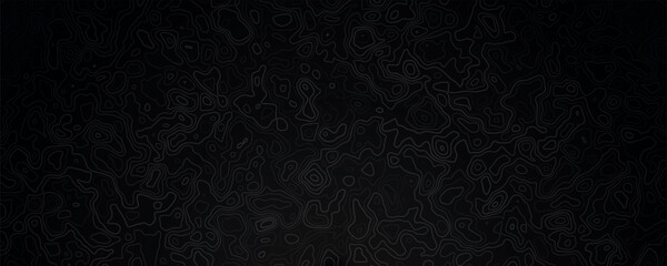 Dark elegant topographic map background. Topographic wallpaper