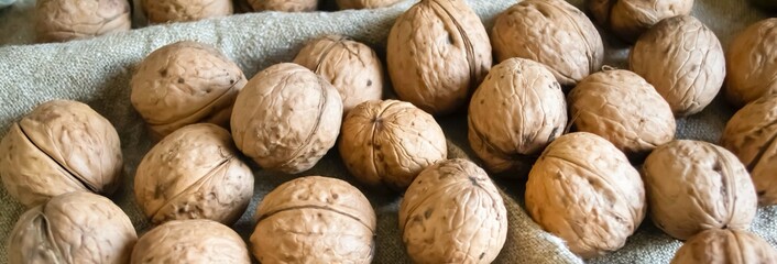 Freshly harvested walnuts displayed on a linen cloth in natural light