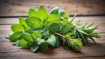 Close-up detail of single sprig fresh green herb bundle thyme oregano basil