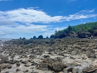 Obraz premium Faune et flore de l'île de Mayotte