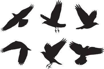 Whisk_zutm1i2njjtmmdjmtmty2gtljbdm00ymkbjntqw_traced