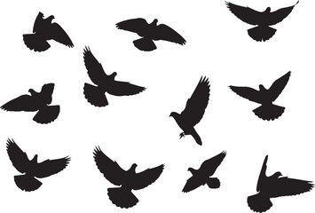 Obraz premium Vector art of dynamic flock of bird silhouettes in flight, conveying freedom, movement, and nature, ideal for symbolizing aspiration, migration, and environmental themes