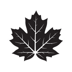 Maple Leaf Silhouette Vector Graphic Design Autumn Icon Illustration