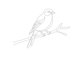 Minimalist Outline Bird on Branch Illustration Fine Line Art Drawing