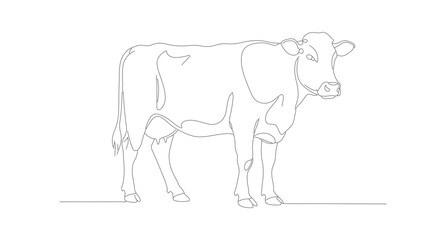 Minimalist Line Art Cow Farm Animal Simple Design Illustration