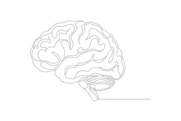 Dotted Line Illustration of a Human Brain Anatomical Diagram
