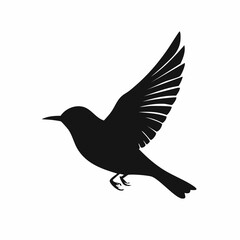 vector illustration of a flying bird