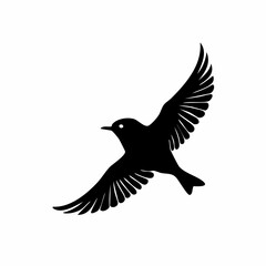 Obraz premium Black Silhouette of Flying Bird with Spread Wings