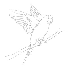Simple Line Art Flying Bird on Branch Outline Illustration Artwork